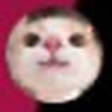 fersipoimel | Unsorted