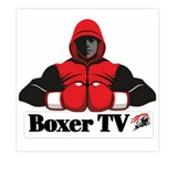 boxer_tv | Unsorted