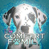 comfortfamily | Unsorted