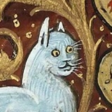 knigomeow | Unsorted