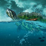 freeturtleisland | Unsorted
