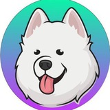 samoyedofficialchannel | Unsorted