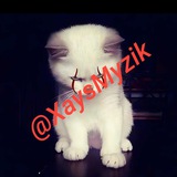 xaysmyzik | Unsorted