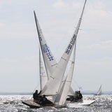 parus_uprugiy | Неотсортированное