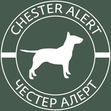 chesteralert | Unsorted