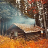 baricky_dmitry | Unsorted