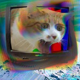 catacid2 | Unsorted