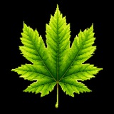 shelest_hub | Unsorted
