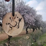 mohamed_0951 | Unsorted