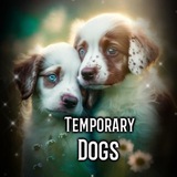 ilovetemporarydogs | Unsorted