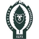 npsochi_official | Неотсортированное