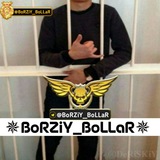 borziy_bollar | Unsorted