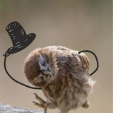 hats_0ff | Unsorted