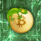 gecko_cripto_trader | Cryptocurrency