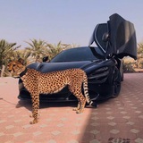 luxtgk1 | Cryptocurrency