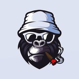 fbgorilla_chat | Unsorted