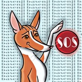 basenji_help | Unsorted