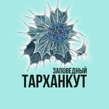 tarkhankut_olenevka | Неотсортированное