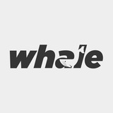 whalefu | Unsorted