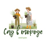 sadvogorode | Неотсортированное