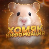 hamsterbotsy | Unsorted