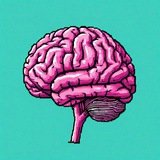 brain_bait | Unsorted