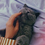 melonskaya.1😁