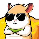 hamsteronlemonschat | Unsorted