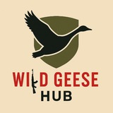 wildghub | Unsorted