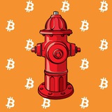 cryptohydrant | Cryptocurrency