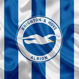 fcbrightonhovealbion | Unsorted