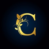 ashihmin_uspeh | Неотсортированное