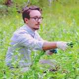 phytoyurovsky | Unsorted
