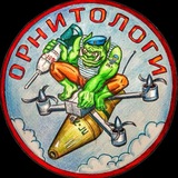 ornitology247 | Неотсортированное