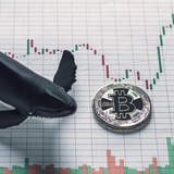 whalesandtrades | Cryptocurrency