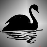 black_swan | Unsorted