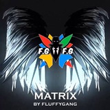 fg_matrix | Unsorted