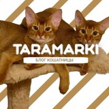 taramarki | Неотсортированное