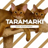 taramarki | Unsorted