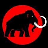 mammothmind | Cryptocurrency