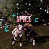 sssspice | Unsorted