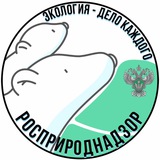 eco_umka | Unsorted