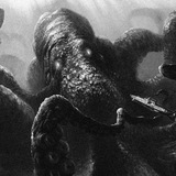 kraken_reviews | Неотсортированное
