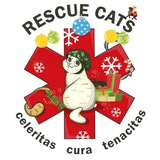 rescue_cats_channel | Unsorted