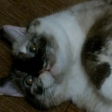 my_comfort | Unsorted