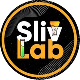 🔬 SlivLab 🧪 Крипто-лаборатория