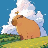 capybarareads | Unsorted