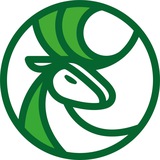 scantour | Неотсортированное