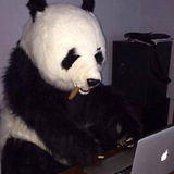 the_panda3 | Unsorted