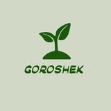 goroshek116 | Unsorted